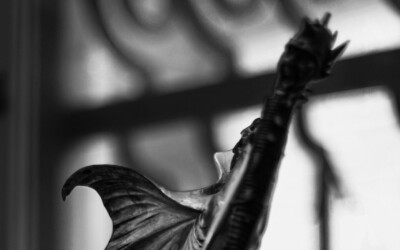 How to Get the Most Out of Our Galleries